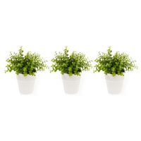 Set van 3x stuks kunstplanten eucalyptus groen in witte pot 22 cm