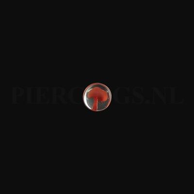 Plug paddestoel 5 mm 5 mm