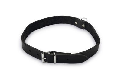 Beeztees Beeztees Halsband Hond Leer Zwart 55-65 cm x 25mm