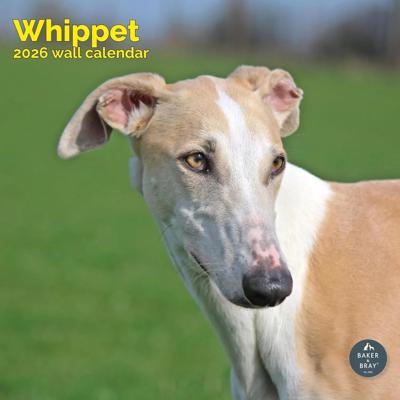 Whippet Kalender 2026 Whippet Kalender 2026