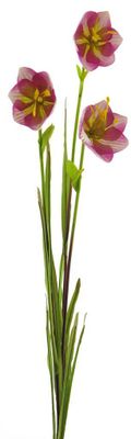 Cora bell spray pink/green 79cm