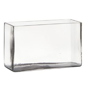 Transparante rechthoek accubak vaas/vazen van glas 25 x 10 x 15 cm   -