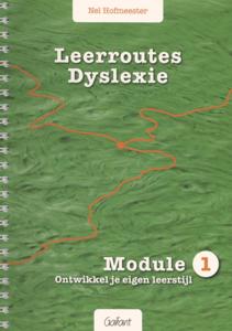 Leerroutes dyslexie (Paperback)