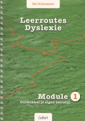 Leerroutes dyslexie (Paperback)