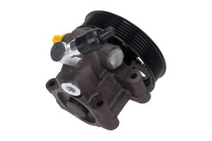 Servo pomp 480096