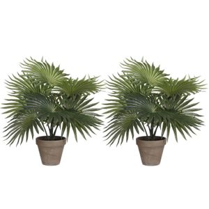 Mica Decorations Palm kunstplant - set van 2x - groen - H40 x D35 cm