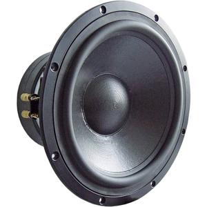 Visaton TIW 300 - 8 Ohm 12 inch 30.48 cm Woofer 300 W 8 Ω