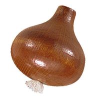 Haba speelgroente ui 6 cm bruin - thumbnail