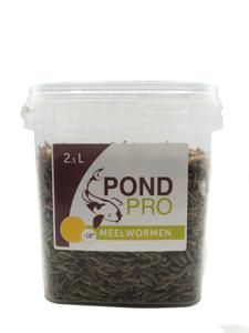 Pond Pro Meelwormen 2,5L - Eiwitrijk Voer voor Koi, Schildpadden en Kippen, Bevordert Groei en Vitaliteit