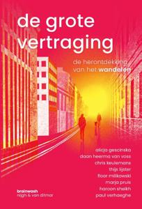 De grote vertraging (Paperback)