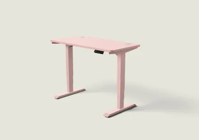 Desktronic HomePro bureau Zachtroze / Zachtroze / 120x60 cm