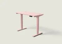 Desktronic HomePro bureau Zachtroze / Zachtroze / 120x60 cm