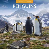 Pinguin Kalender 2026