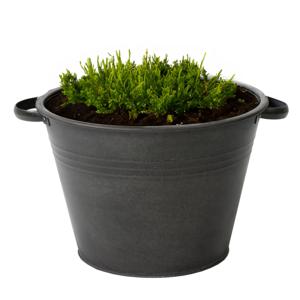 Plantenpot/bloempot Farmer - rond - zink - zwart - D40 X H29 cm