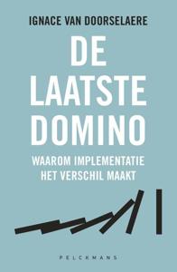 De laatste domino (Hardback)