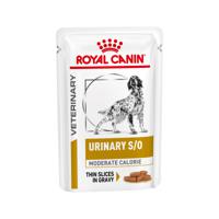 Royal Canin Urinary S/O Moderate Calorie Wet Hond - 12 x 100 g