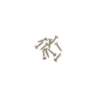 Intersteel houtschroef (10 stuks) chroom/nikkel 3,5x16mm. lenskop