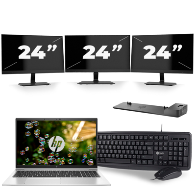HP EliteBook 855 G7 - AMD Ryzen 3 Pro 4450U - 15 inch - 16GB RAM - 256GB SSD - Windows 10 Home + 3x 24 inch Monitor