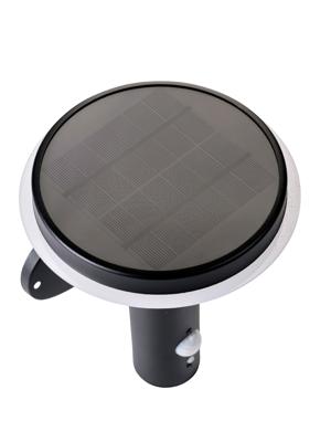 Solar wandlamp RVS 75-600 lm ww motion sensor - Lumineo