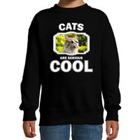 Dieren gekke poes sweater zwart kinderen - cats are cool trui jongens en meisjes - thumbnail