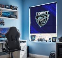 E-sport ontwerp rolgordijn