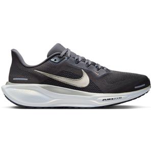 Nike Pegasus 41 JI Heren