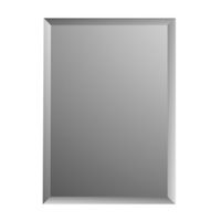 Spiegel Charleston Plieger Rechthoekig 4mm Met Facetrand 90x45cm Zilver