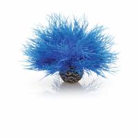 Aquarium zeelelie blauw - Biorb