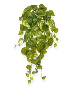 Pothos kunst hangplant 55cm - bont in pot