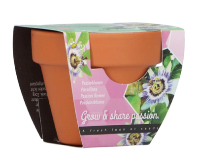 Grow gifts kweekset groeicadeautje passiflora - Buzzy