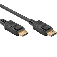 DisplayPort Kabel - 2 meter