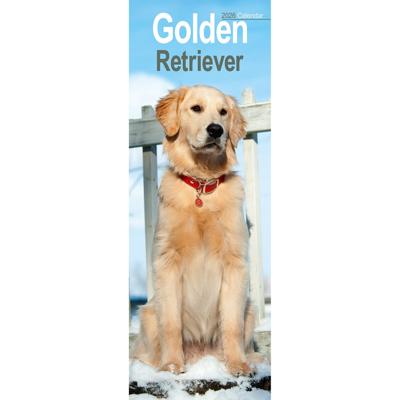 Golden Retriever Kalender 2026 Slimline
