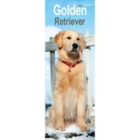 Golden Retriever Kalender 2026 Slimline