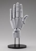 Takahiro Kagami PVC Artist Support Item Hand 1/1 Model Men /L Gray 22 cm Takahiro Kagami PVC Artist Support Item Hand 1/1 Model Men /L Gray 22 cm