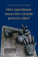 Hoe openbaar moet het civiele proces zijn? (Paperback)