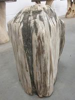 Fossiel hout C19