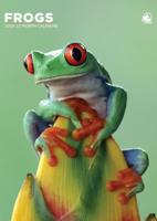 Kikker A3 Kalender 2026