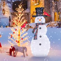 Verlichte Sneeuwpop en Rode Vogels Kerstversiering Verlichte Sneeuwpopornament met Warmwitte LED-Verlichting en Grondpinnen