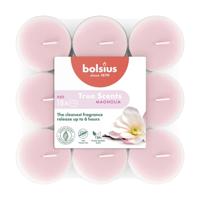 Bolsius geurtheelichten 18st magnolia