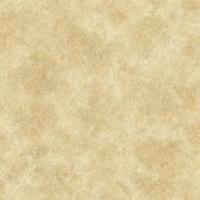 Galerie Special FX 2 Behang met metallic betonlook - G67693