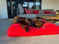 Dog's Companion® Hondenbed rood ribcord superlarge