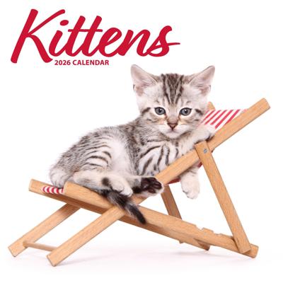 Kittens Modern Kalender 2026