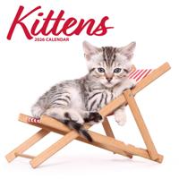 Kittens Modern Kalender 2026