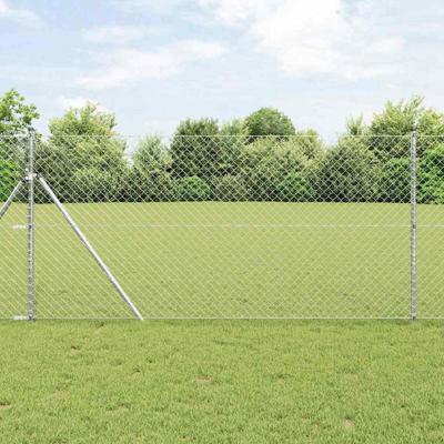 Gaashekwerk Zilver 10 x 1.4 m Ge galvaniseerd staal