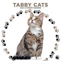 Tabby Katten Kalender 2026 Tabby Katten Kalender 2026