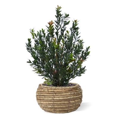 Kunst Buxus Haagplant 50cm Groen/rood