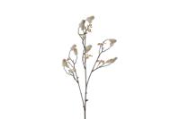 Kunstbloem Persicaria Vivaldi S creme Countryfield - Countryfield