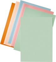 Esselte dossiermap groen, papier van 80 g/m², pak van 250 stuks - thumbnail