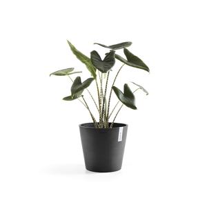 Bloempot Amsterdam 30 cm Donkergrijs Antraciet Ecopots