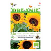 5 stuks Organic Zonnebloem giganteus (Skal 14725) - thumbnail